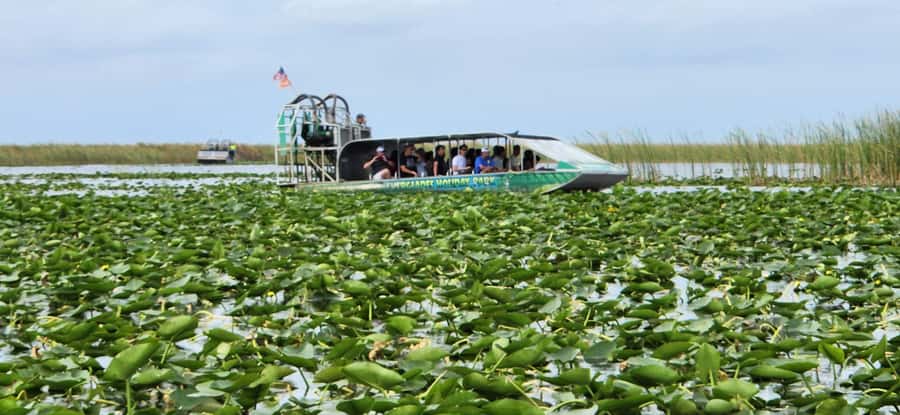 Miami: Everglades Airboat, Gator Encounter & Bus Transfer - Who this tour is best for (and who should choose differently)