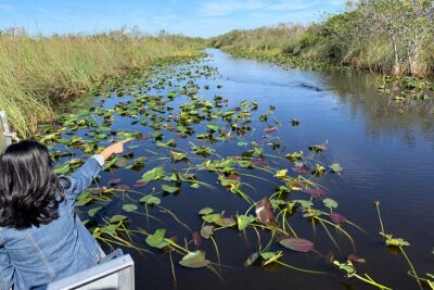 Miami: Everglades Airboat incl. Group Photo - The Covered Airboat Ride: How It Works and What to Expect