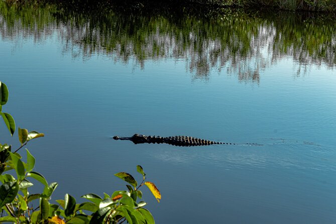 MIAMI: Everglades Airboat, Wildlife Gator Show and Pick-up - Hotel pickup and the road time: the part you should plan for