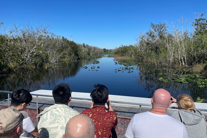 MIAMI: Everglades Airboat, Wildlife Gator Show and Pick-up - The gator show and wildlife presentation: short, cute, and useful