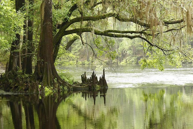 MIAMI: Everglades Airboat, Wildlife Gator Show and Pick-up - How the day flows: what each stop feels like
