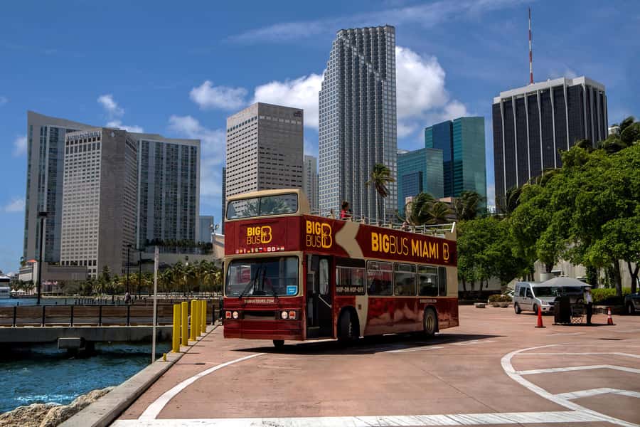 Miami: Everglades Experience, Bay Cruise & Open-top Bus Tour - Value for $80: When a Combo Actually Saves You Money