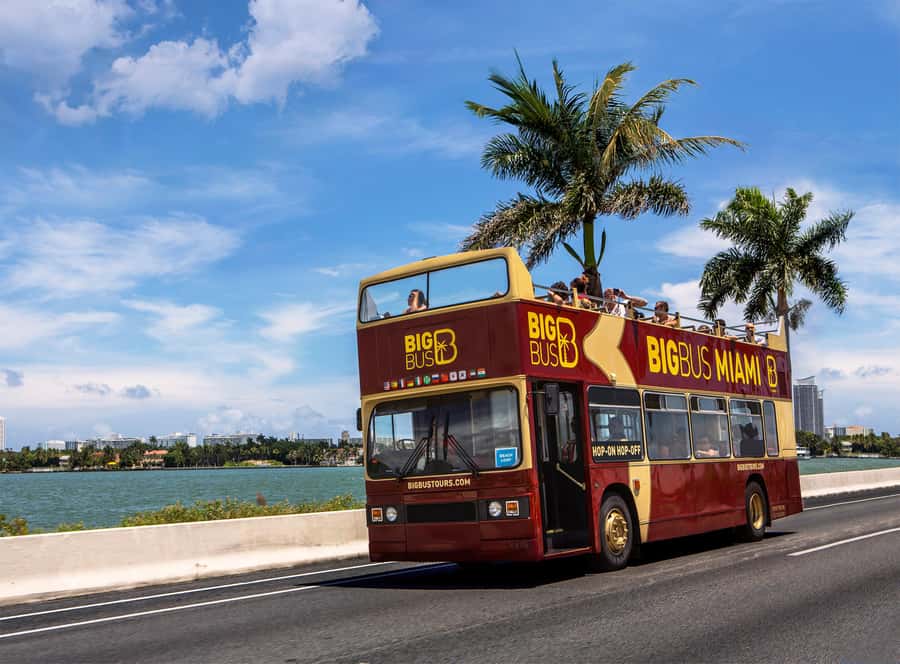 Miami: Everglades Experience, Bay Cruise & Open-top Bus Tour - Biscayne Bay Cruise and Millionaire’s Row: Port Views with a Real Waterfront Payoff