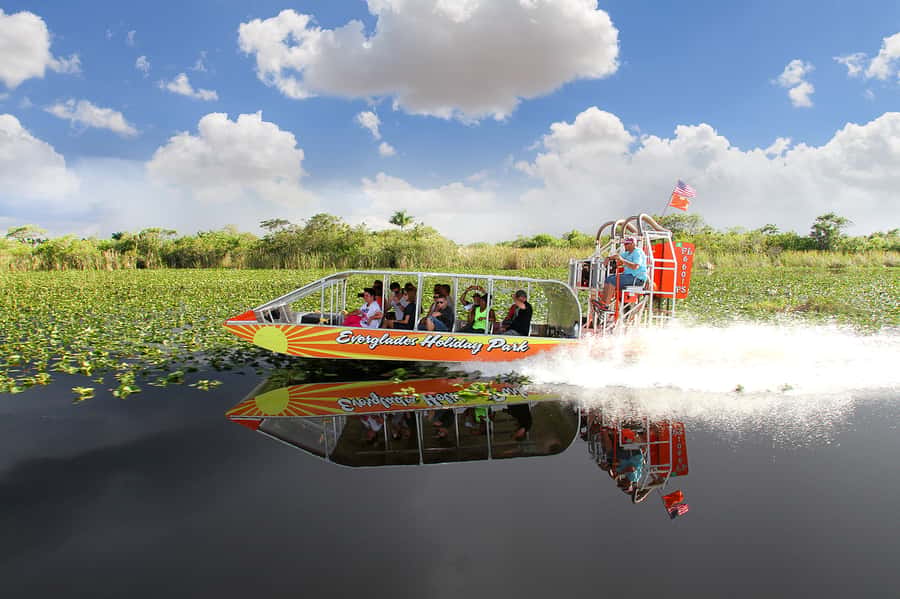 Miami: Everglades Experience, Bay Cruise & Open-top Bus Tour - Timing Strategy: Why Splitting the Everglades from the Bay Cruise Helps