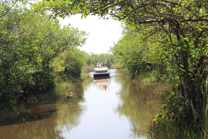 Miami + Everglades in One Perfect Day–small group & pick up - Coral Gables and Gables Estates: luxury residences and palm-lined privacy