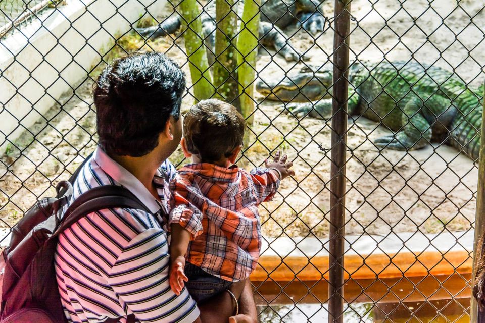 Miami: Everglades Safari Park Airboat Tour - Jungle Trail boardwalk and observation platform: stretching your legs