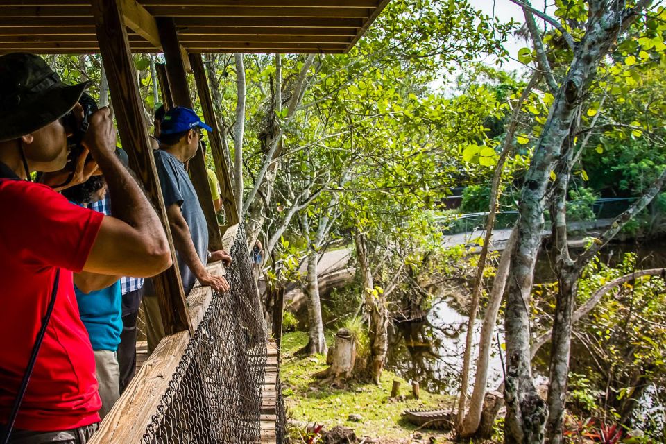 Miami: Everglades Safari Park Airboat Tour - Who should book this, and who should skip it