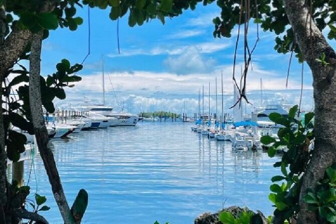 Miami Express Private Boat a 1- Hour Luxury Experience - Choosing Morning or Afternoon: When the Light and Heat Work for You