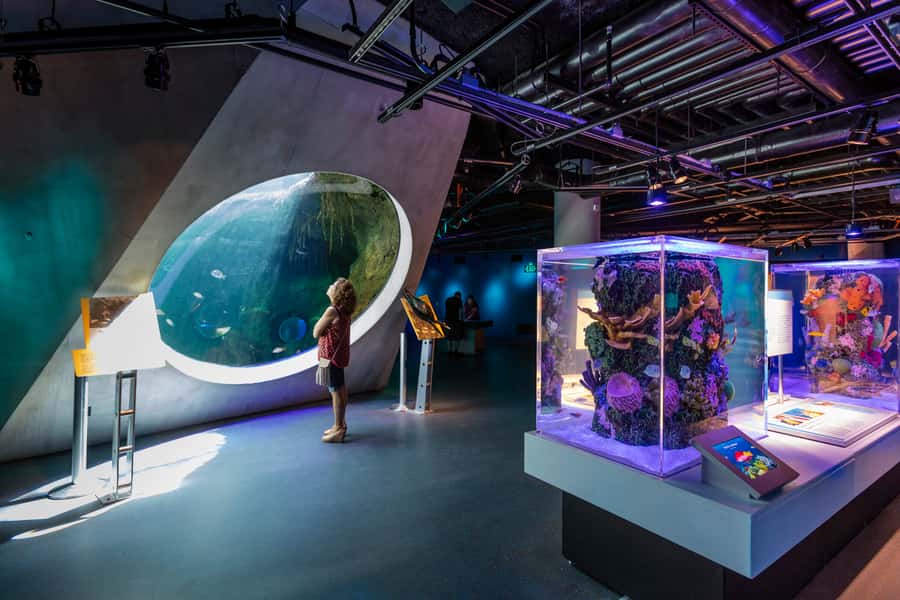 Miami: Frost Museum of Science and Planetarium Entry Ticket - Should you book the Frost Museum of Science and Planetarium?