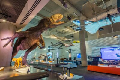 Miami: Frost Museum of Science and Planetarium Entry Ticket - Ticket value: what $30 buys you (and what it doesn’t)