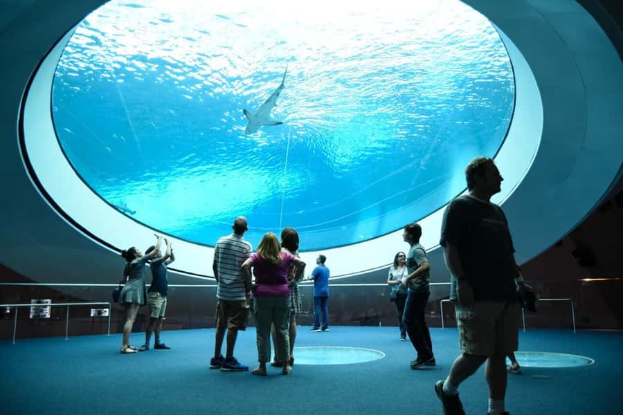Miami: Frost Museum of Science and Planetarium Entry Ticket - A realistic visit plan: how to time it without rushing
