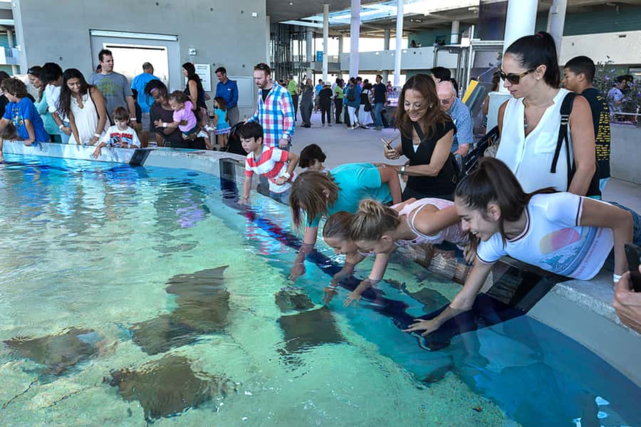 Miami: Frost Museum of Science and Planetarium Entry Ticket - Food, shopping, and breaks: the stuff you’ll actually need