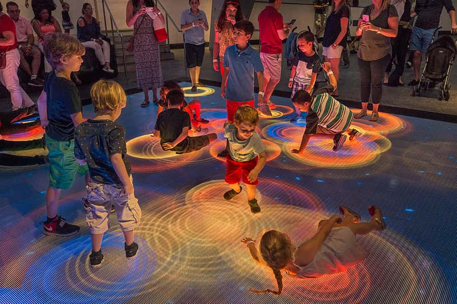 Miami: Frost Museum of Science and Planetarium Entry Ticket - Who should book this museum day, and who might not