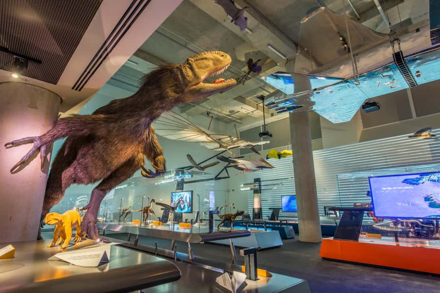 Miami: Frost Museum of Science and Planetarium Entry Ticket - Ticket value: what $30 buys you (and what it doesn’t)