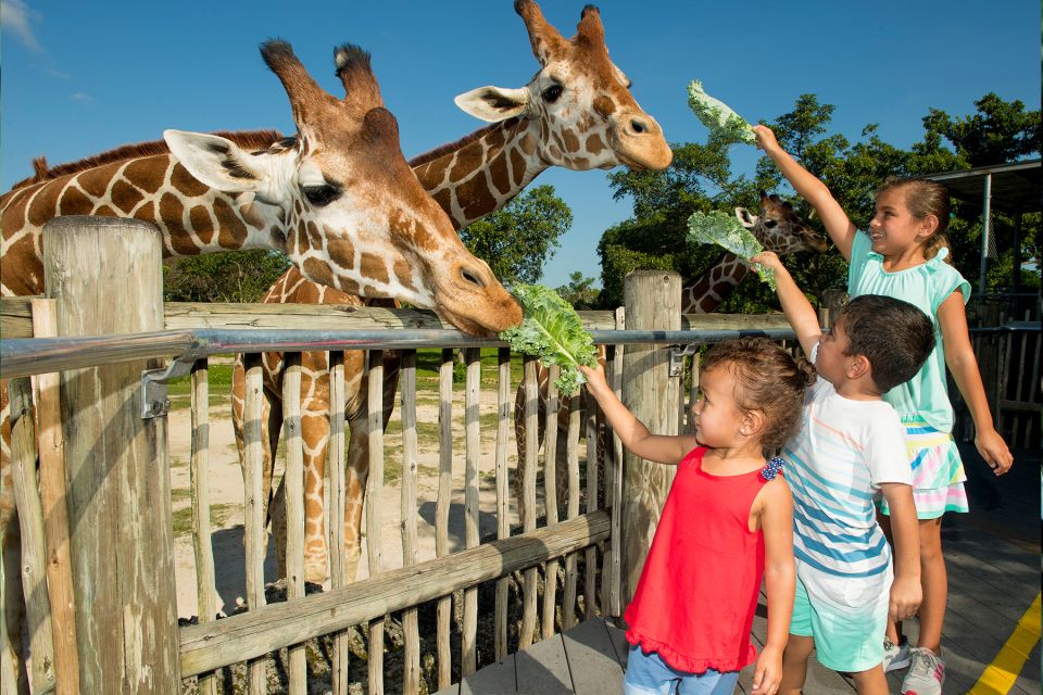 Miami: Go City All-Inclusive Pass with 30+ Attractions - Zoo Miami: the animal anchor that pairs well with a full day