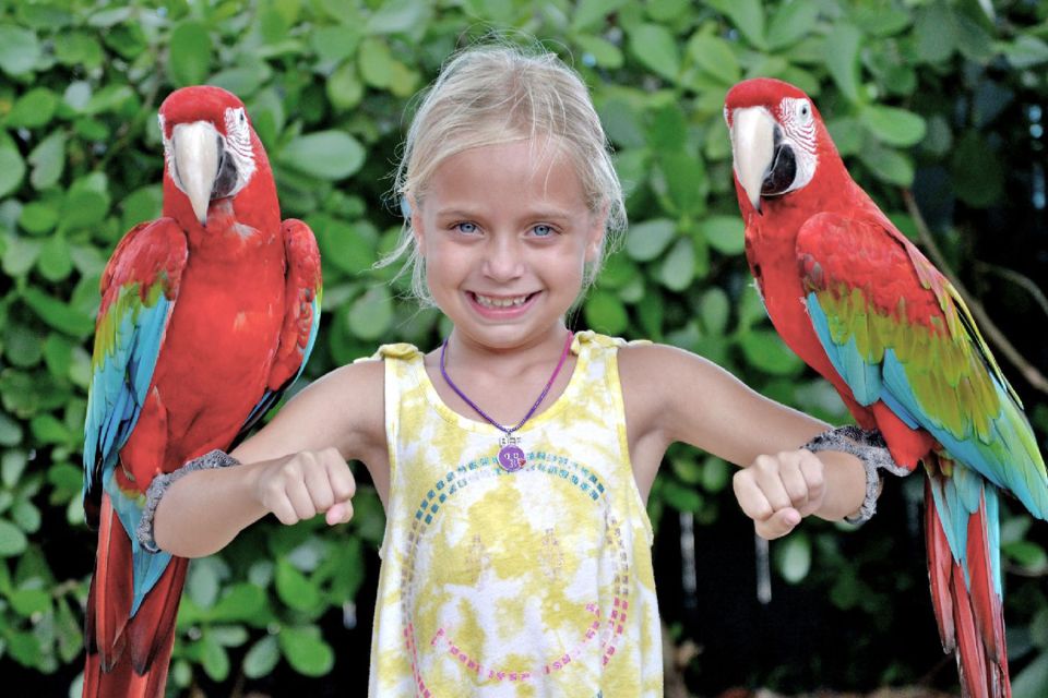 Miami: Go City All-Inclusive Pass with 30+ Attractions - Everglades day: airboat thrills and alligator farm time