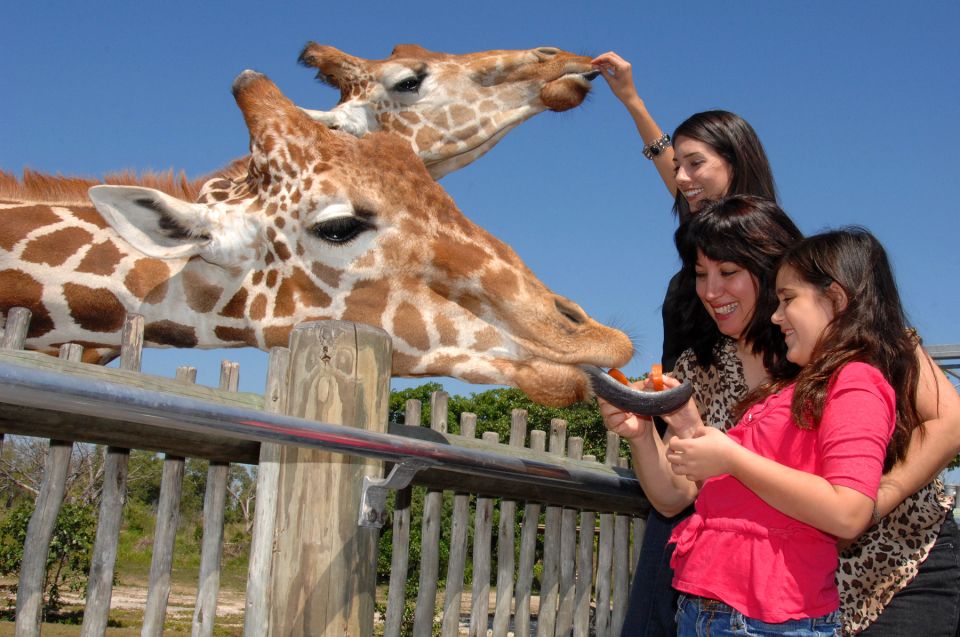 Miami: Go City Explorer Pass - Choose 2 to 5 Attractions - Should you book the Miami Explorer Pass?