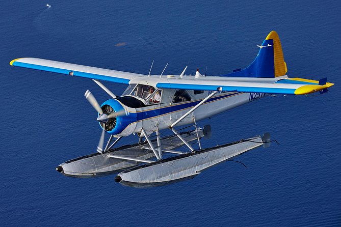 Miami Highlights Private Seaplane Tour with Live Commentary - Takeoff, Sea Landing, and Biscayne Bay Views: What You’ll See