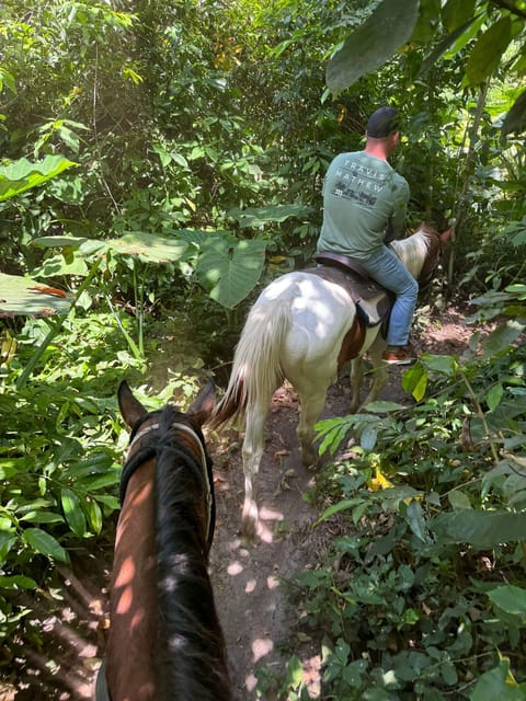 Miami: Horseback Riding in South Beach - Snacks and beverages: nice on paper, confirm for your day