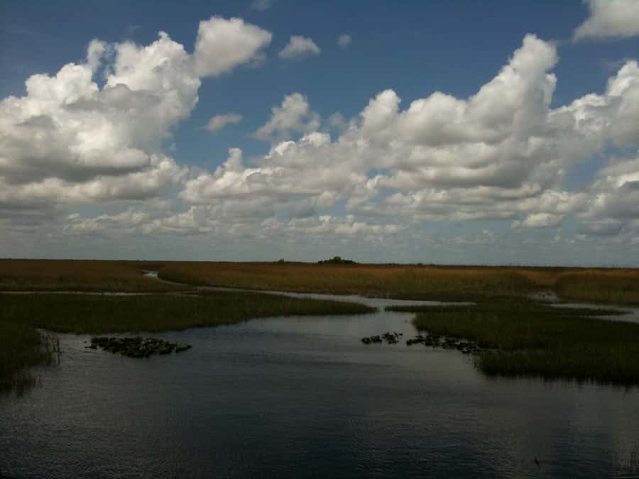 Miami: Original Everglades Airboat Tour & Interpretive area - Airboat Time: 40–45 Minutes Across Sawgrass Prairies
