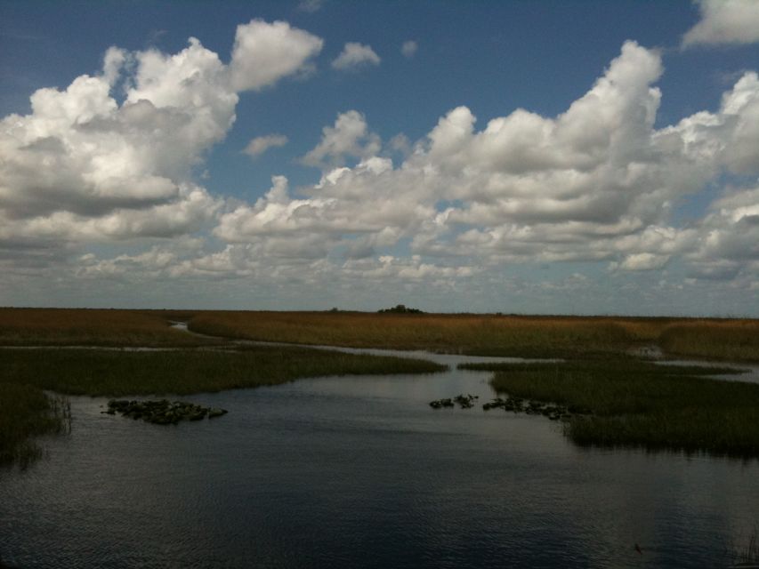 Miami: Original Everglades Airboat Tour & Interpretive area - Food Truck Add-On: Alligator Tail and Frog Legs