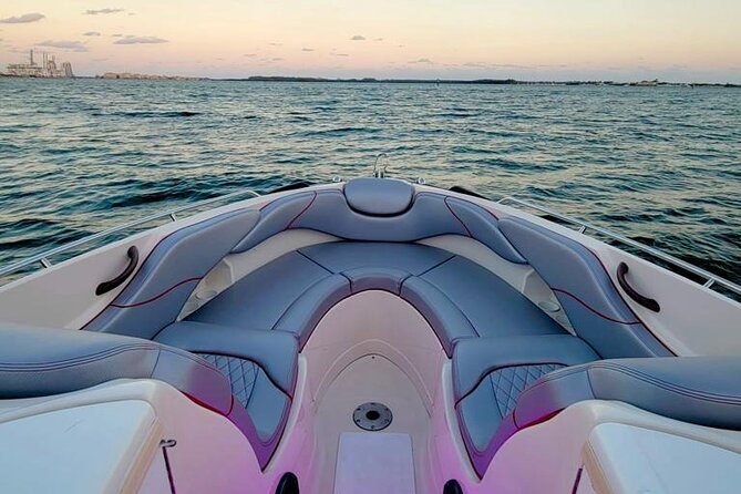 Miami Private Boat Cruise & Tour with a Captain - Miami Heat arena from the water