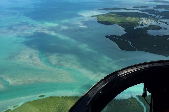 Miami Sightseeing Helicopter Tour Ride things to do Miami Beach - Wildlife spotting: how to play it smart (and not obsess)