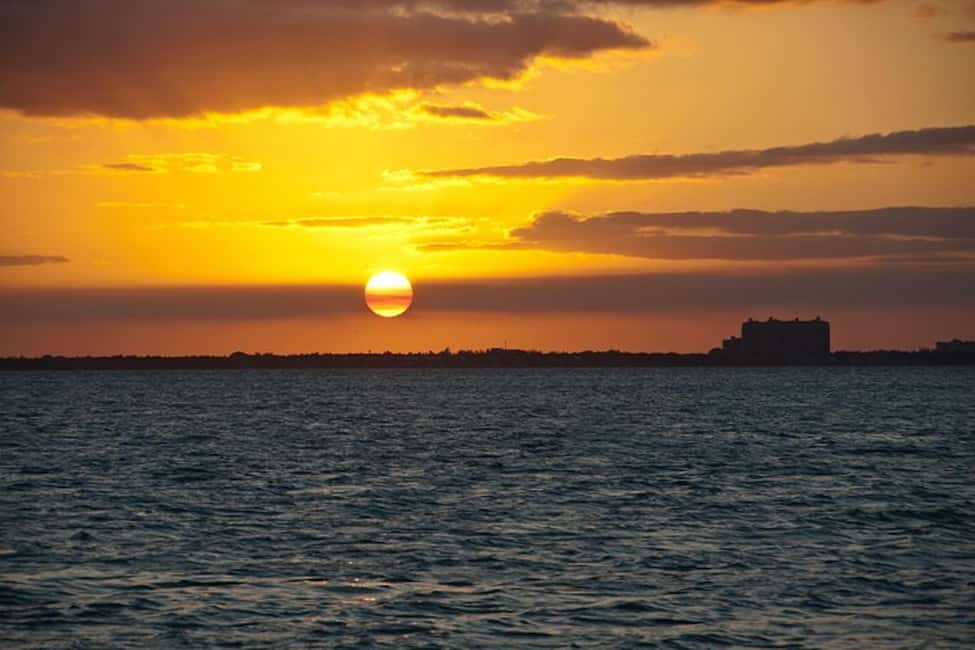 Miami: Skyline Cruise of the Magic City & Millionaire Houses - Price and Duration: Is $28 Good Value for What You Get?