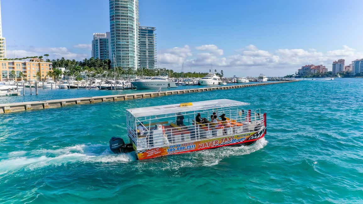 Miami: Skyline Sightseeing Cruise Millionaire Homes & River - Check-In Timing and the Meeting Point You Must Nail