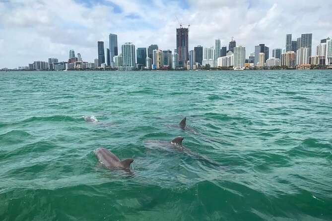 Miami Small Group Boat Tour: History, Wildlife, and Stiltsville - Downtown Miami from the water: Miami River, Port of Miami, and Brickell
