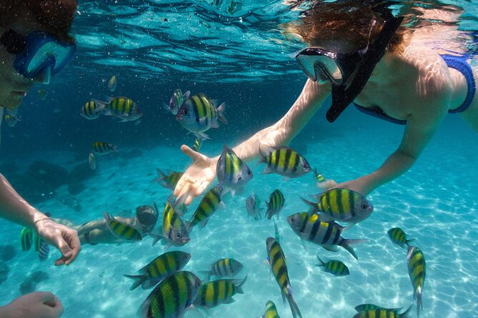 Miami to Key West Day Trip with Activity Options - Miami pickup: how early you should show up (and why)