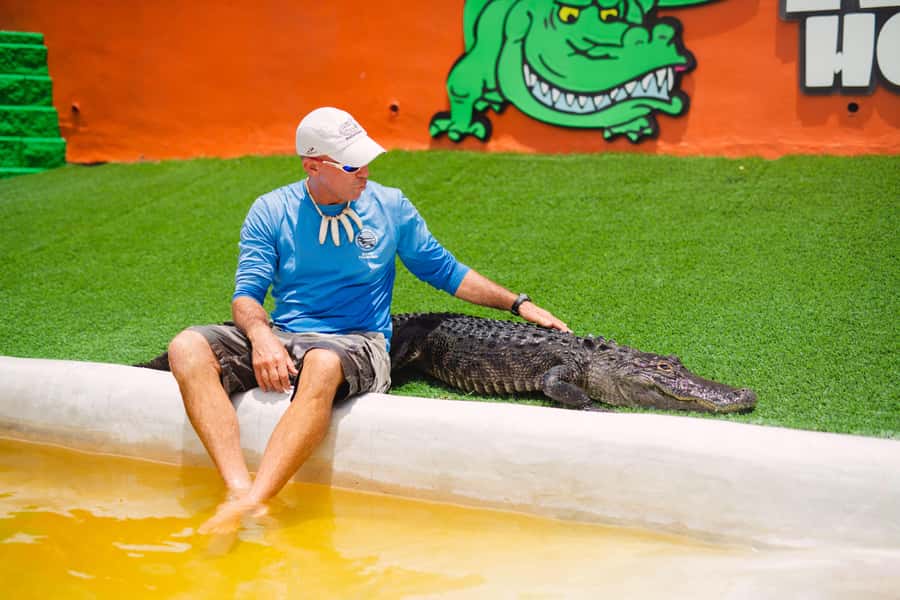 Miami: Wild Everglades Airboat Ride and Gator Encounters - Your Airboat Hour: What the Marsh Ride Really Feels Like
