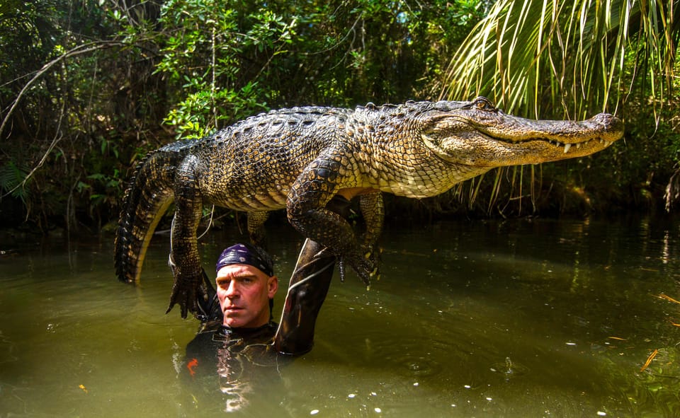 Miami: Wild Everglades Airboat Ride and Gator Encounters - Price and Value: Is $50 a Good Deal?