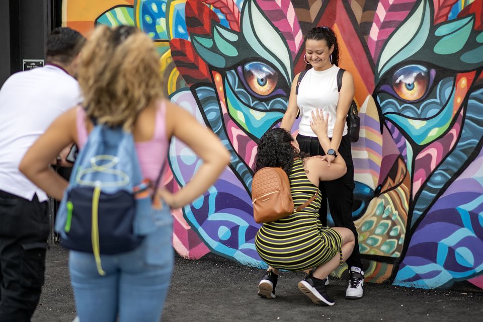 Miami: Wynwood Walls Skip-the-Line Ticket - Wynwood Walls History as You Walk: How the Neighborhood Shift Happened