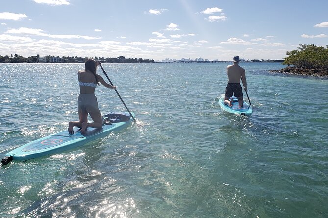 Nature & Island Exploration on SUP/Kayak - Venetian Marina Check-In: Where Your Tour Starts