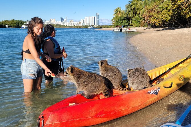 Nature & Island Exploration on SUP/Kayak - Raccoon Island: Cute Wildlife Meets Real Terrain