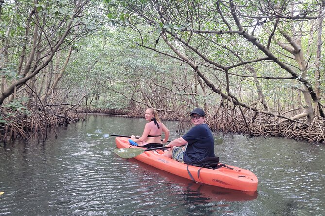 Nature & Island Exploration on SUP/Kayak - How Much Mangrove Time Do You Really Get?