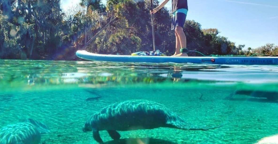 North Miami: Nature & Island Exploration on SUP/Kayak - Key things to know before you go