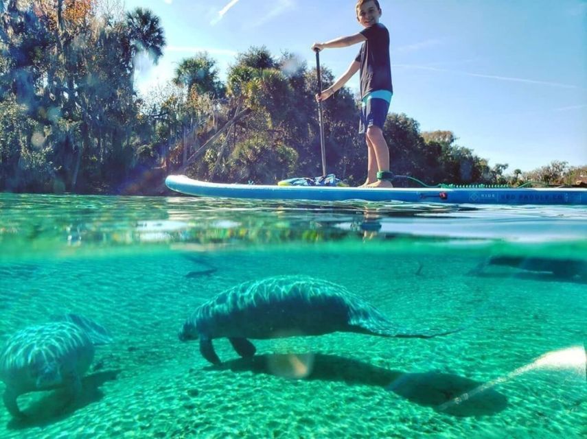 North Miami: Nature & Island Exploration on SUP/Kayak - Your ride choice: SUP vs kayak (and what it changes)