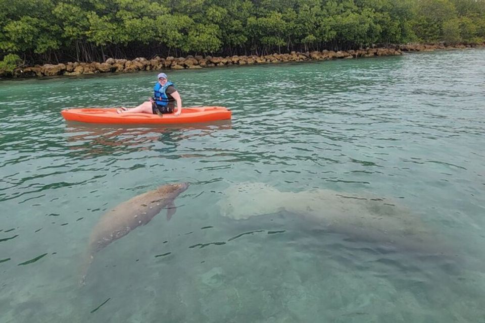 North Miami: Nature & Island Exploration on SUP/Kayak - The pre-launch paddling lesson that saves time and stress