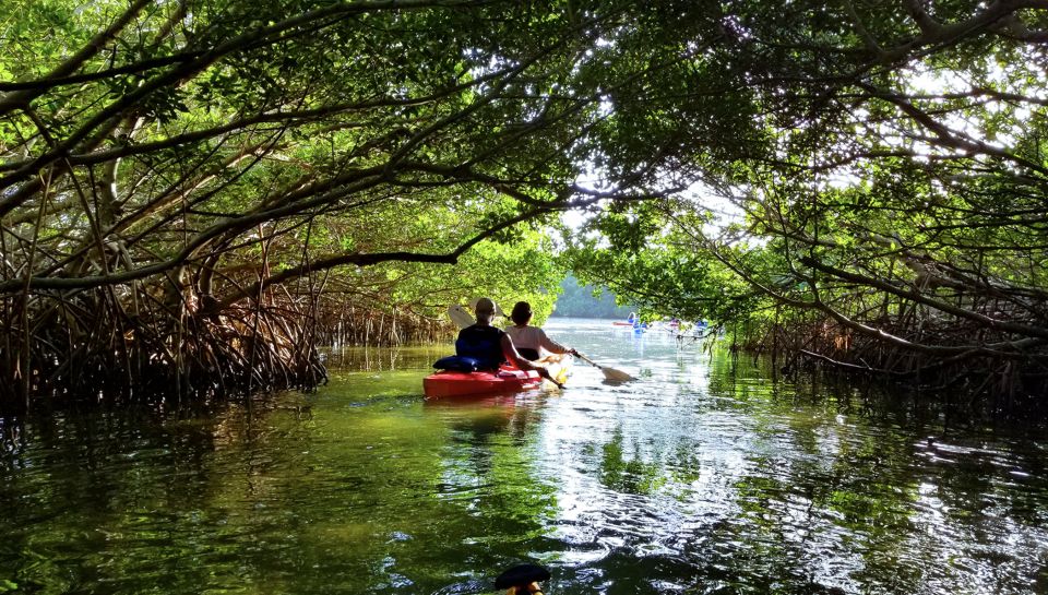 North Miami: Nature & Island Exploration on SUP/Kayak - Price check: is $99 worth it for what you get?