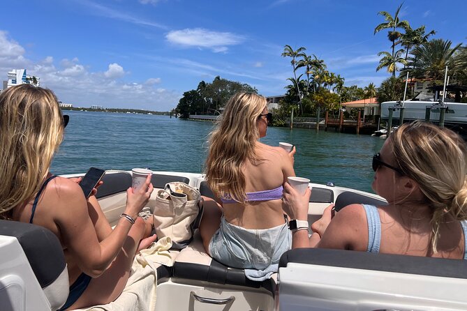 Private Boat Tour - Snorkeling, Star Island & Dolphin Spotting - Dolphins in Miami: What You Can Expect and How to Increase Your Odds