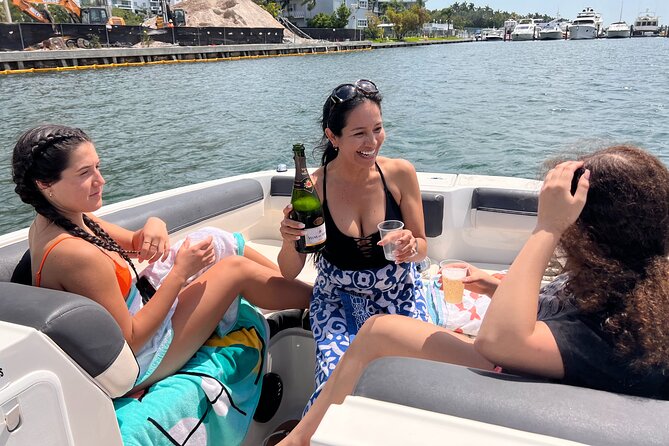 Private Boat Tour - Snorkeling, Star Island & Dolphin Spotting - Boat Comfort in Miami Heat: Shade, Deck Layout, and Space