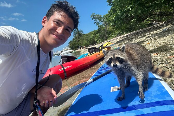 Raccoon Island: Exploration on SUP/Kayak - Kayak vs SUP: choosing your ride and staying comfortable