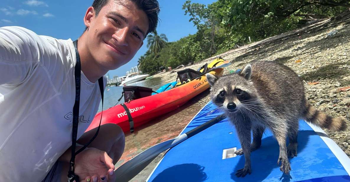Raccoon Island: Exploration on SUP/Kayak - Who should book this SUP or kayak raccoon adventure