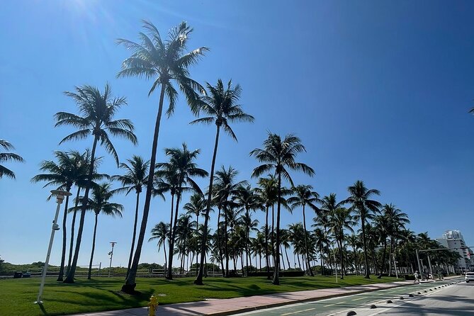 See it All in One Tour!! 6hr VIP Full Experience of Miami!! - Little Havana’s long stop: Calle Ocho, Cuban coffee, and Domino Park