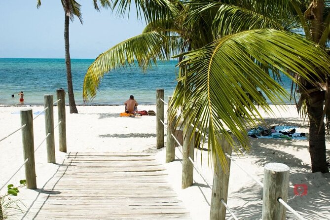 Self-Guided Audio Tour in Florida Keys - The Key Deer reminder: slow driving is part of the tour
