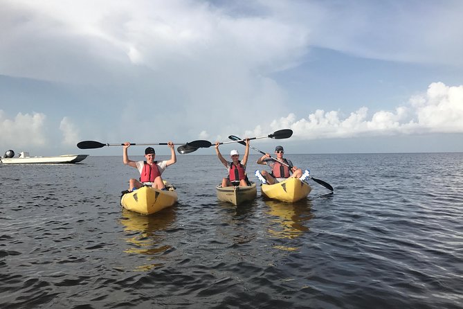 Small Group Boat, Kayak and Walking Guided Eco Tour Everglades - Why Foot, Kayak, and Boat Fits the Everglades