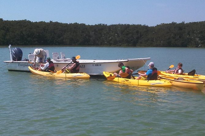 Small Group Boat, Kayak and Walking Guided Eco Tour Everglades - The Boat Segment: Ten Thousand Islands Remote Water Time