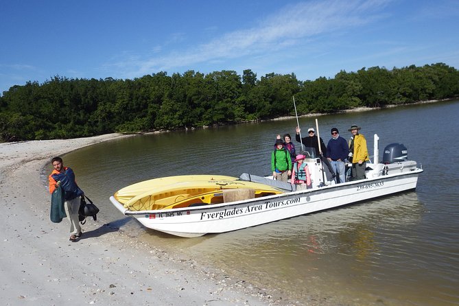 Small Group Boat, Kayak and Walking Guided Eco Tour Everglades - Wildlife Chances and How Your Guide Changes the Odds
